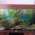 Продается панорамный аквариум 