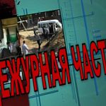 Рубрика «Дежурная часть» от 28.05.2026