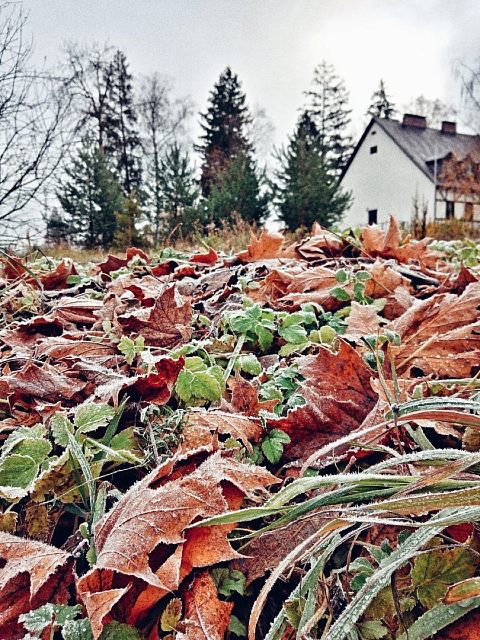 Морозное утро в Краснознаменске