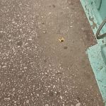 Почему нет уборки в подъезде от слова совсем по адресу Мира 2, 5 подъезд!!!