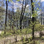 Продам, 30,5 кв.м, 1-комнатная — Краснознаменск
