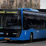 Оцените организацию маршрута 1442