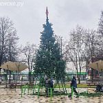 На площади Семьи устанавливают елку