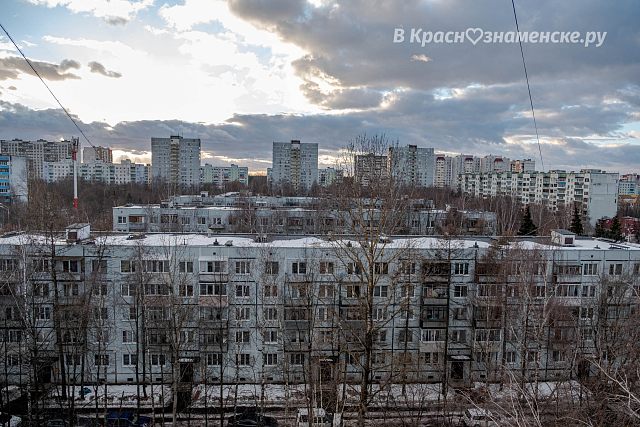 Поросята