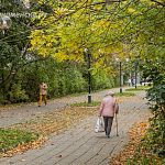 Скоро город окрасится в яркие цвета осени — Краснознаменск
