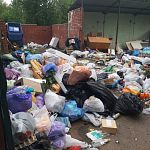 Мусорка против мусора