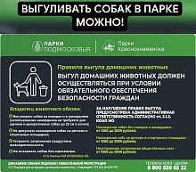 Выгуливать собак в парке можно