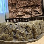 Террариум для рептилий — Краснознаменск