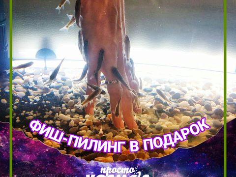 Соляная пещера & SPA «Просто КОСМОС» — Краснознаменск