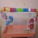 Большая клетка для грызунов