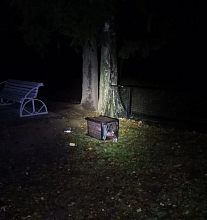 Подростковый беспредел на костровой площадке в парке