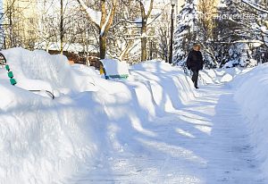 Снежная зима