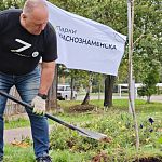 Сегодня коллектив Парков Краснознаменска присоединился к Всероссийской акции СохраниЛес