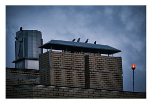 Любить — значит вместе смотреть в одном направлени