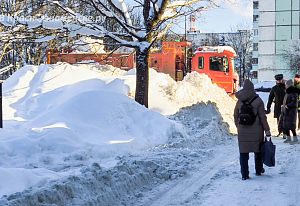 Снежная зима