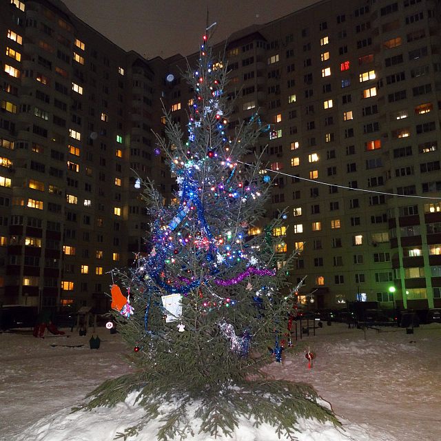 Новогодняя красавица на Связистов!