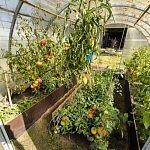 Продам, 70 кв.м, 6 соток, Отдельный дом — Краснознаменск