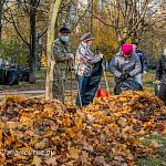Уборка опавшей листвы на ул. Победы 