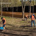 Как вы относитесь к субботникам, принимаете участие?