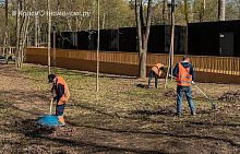 Как вы относитесь к субботникам, принимаете участие?