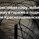 Суд арестовал пару, избившую женщину в гараже в подмосковном Краснознаменске