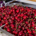 Обзор цен сезонной ягоды 