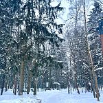 Прогулка по Беличьему парку