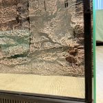 Террариум для рептилий — Краснознаменск