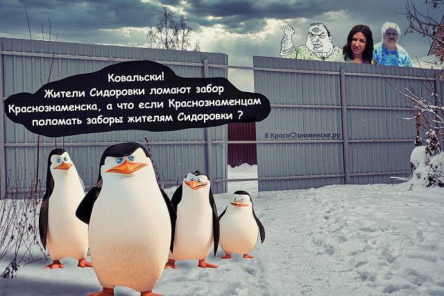 Пингвины и жители Сидоровки