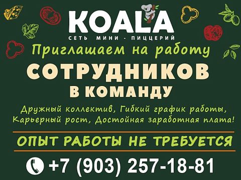Сеть мини-пиццерий KOALA — Краснознаменск