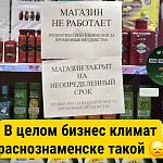 Бизнес-климат в Краснознаменске