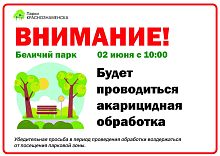 2 июня с 10:00 Беличий парк будет закрыт