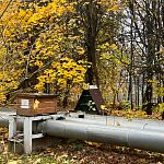 Домик для кошек теперь расположен рядом с трубами — Краснознаменск