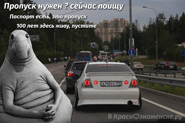 Ждун, пробка на КПП
