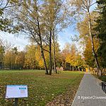Прогулка по Беличьему парку — Краснознаменск