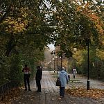 После жалобы жителя города, будут производить «кронирование» клена. Такой роскошный раскидистый клён, давал летом тень!
