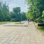 Вырубка деревьев на Комсомольском бульваре не запланирована
