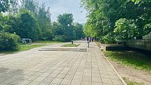 Вырубка деревьев на Комсомольском бульваре не запланирована