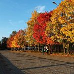 Осенние краски города — Краснознаменск