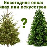 Опрос: какую вы предпочитаете елку?