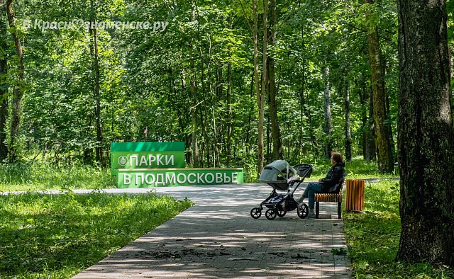 Городской парк