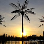 Коллекция фотографий города, вызывающая ностальгию