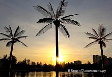 Коллекция фотографий города, вызывающая ностальгию