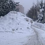 На ул.Лесная автомобили не могут проехать ни к жилым домам, ни к частным