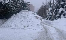 На ул.Лесная автомобили не могут проехать ни к жилым домам, ни к частным