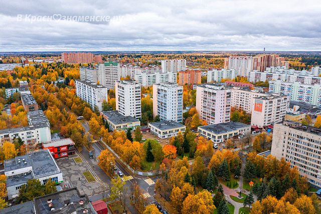 Взгляд на голубиную площадь