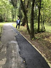 Вчера в Городском парке завершили ремонт пешеходной дорожки