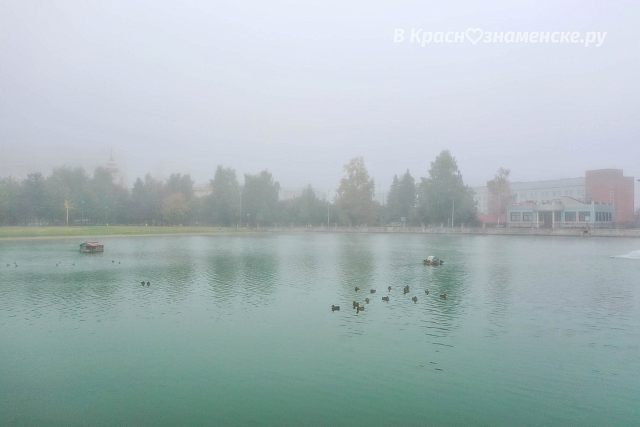 Туман в Краснознаменске
