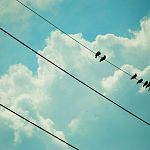  Подмосковное небо очистят от проводов‍