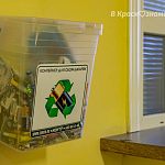 Используете ли вы специальные контейнеры для переработки?